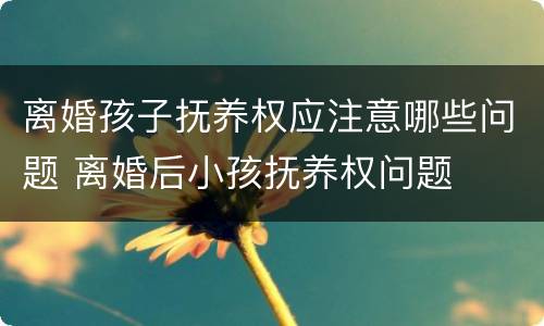 离婚孩子抚养权应注意哪些问题 离婚后小孩抚养权问题
