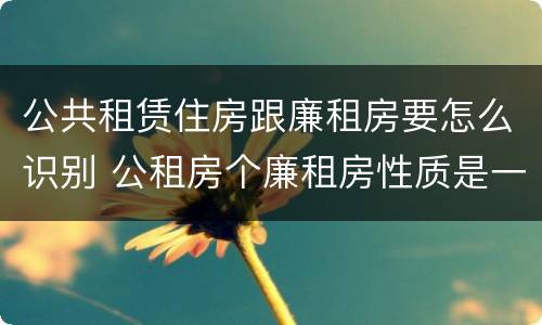 公共租赁住房跟廉租房要怎么识别 公租房个廉租房性质是一样的吗