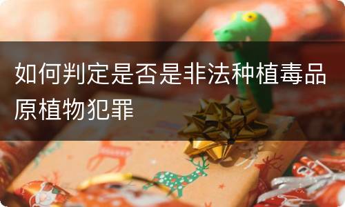 如何判定是否是非法种植毒品原植物犯罪