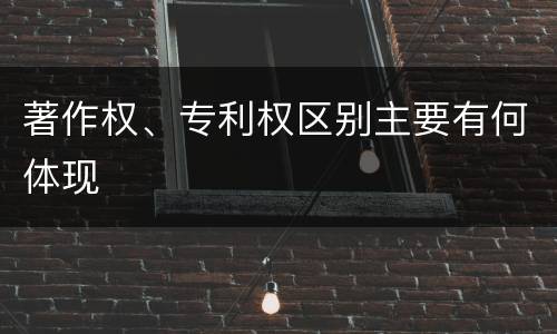 著作权、专利权区别主要有何体现