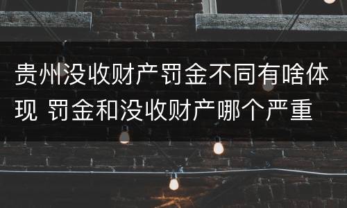 贵州没收财产罚金不同有啥体现 罚金和没收财产哪个严重