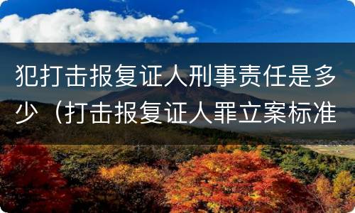 犯打击报复证人刑事责任是多少（打击报复证人罪立案标准）