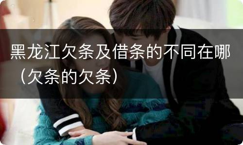 黑龙江欠条及借条的不同在哪（欠条的欠条）