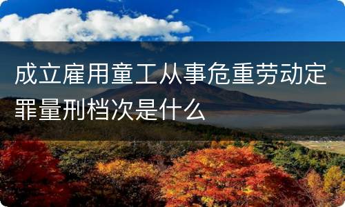 成立雇用童工从事危重劳动定罪量刑档次是什么