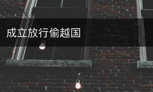 成立放行偷越国