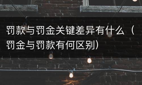 罚款与罚金关键差异有什么（罚金与罚款有何区别）