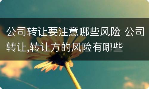 公司转让要注意哪些风险 公司转让,转让方的风险有哪些