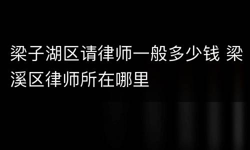 梁子湖区请律师一般多少钱 梁溪区律师所在哪里