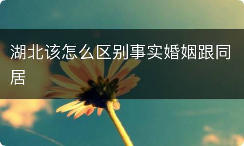 湖北该怎么区别事实婚姻跟同居