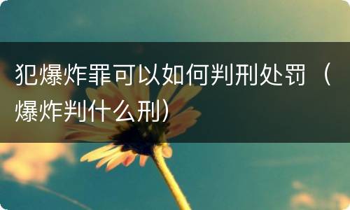 犯爆炸罪可以如何判刑处罚（爆炸判什么刑）