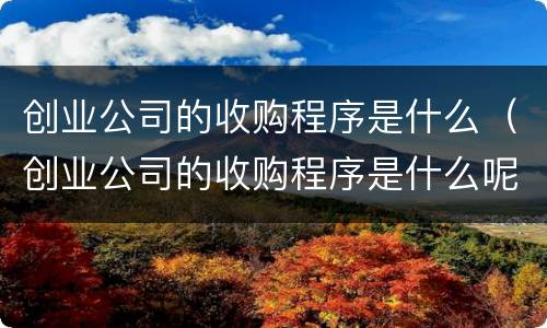 创业公司的收购程序是什么（创业公司的收购程序是什么呢）