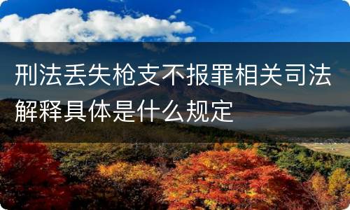 刑法丢失枪支不报罪相关司法解释具体是什么规定