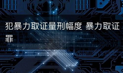 犯暴力取证量刑幅度 暴力取证罪