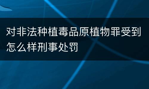 对非法种植毒品原植物罪受到怎么样刑事处罚