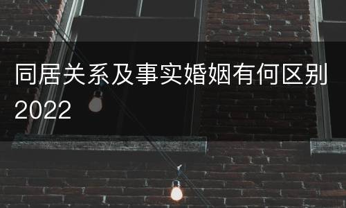 同居关系及事实婚姻有何区别2022