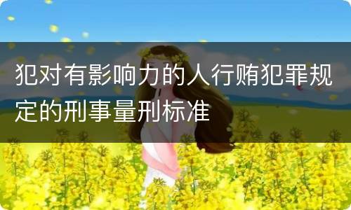 犯对有影响力的人行贿犯罪规定的刑事量刑标准