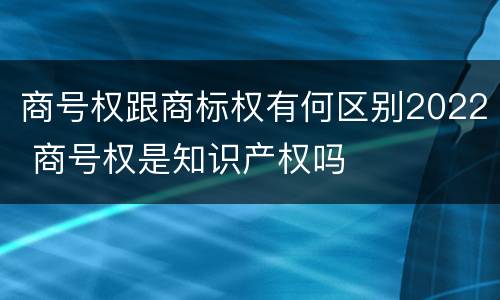 商号权跟商标权有何区别2022 商号权是知识产权吗
