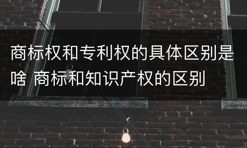 商标权和专利权的具体区别是啥 商标和知识产权的区别