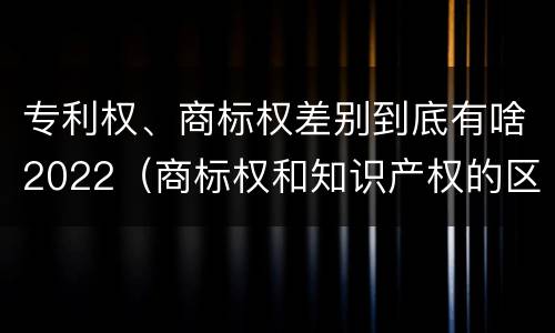 专利权、商标权差别到底有啥2022（商标权和知识产权的区别）