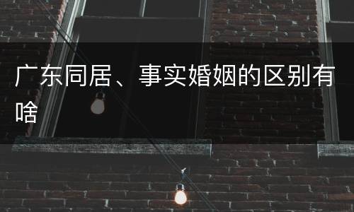 广东同居、事实婚姻的区别有啥