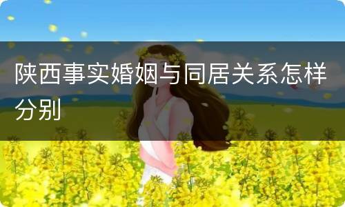 陕西事实婚姻与同居关系怎样分别