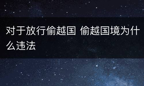 对于放行偷越国 偷越国境为什么违法