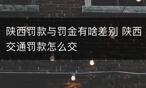 陕西罚款与罚金有啥差别 陕西交通罚款怎么交