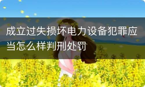 成立过失损坏电力设备犯罪应当怎么样判刑处罚