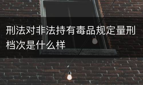 刑法对非法持有毒品规定量刑档次是什么样