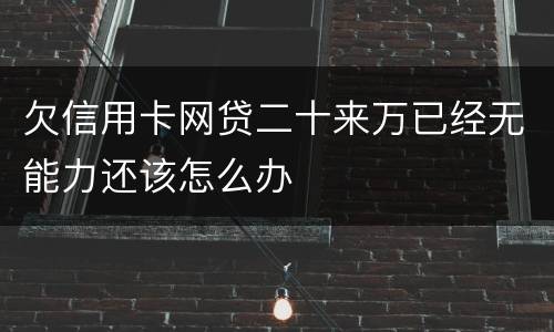 欠信用卡网贷二十来万已经无能力还该怎么办