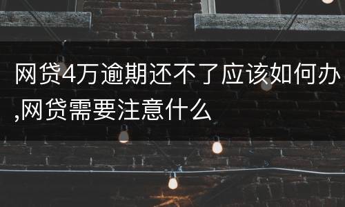 网贷4万逾期还不了应该如何办,网贷需要注意什么