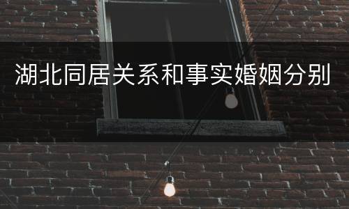 湖北同居关系和事实婚姻分别