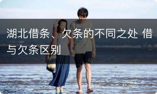 湖北借条、欠条的不同之处 借与欠条区别