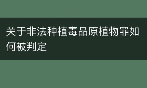 关于非法种植毒品原植物罪如何被判定