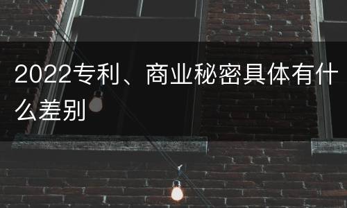 2022专利、商业秘密具体有什么差别