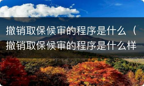 撤销取保候审的程序是什么（撤销取保候审的程序是什么样的）