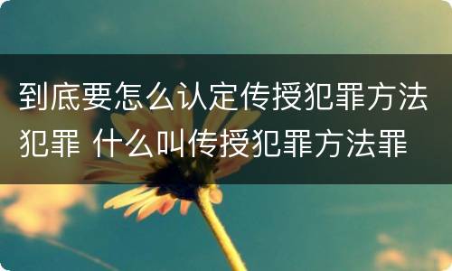 到底要怎么认定传授犯罪方法犯罪 什么叫传授犯罪方法罪
