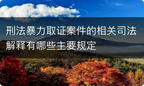 刑法暴力取证案件的相关司法解释有哪些主要规定