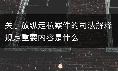 关于放纵走私案件的司法解释规定重要内容是什么