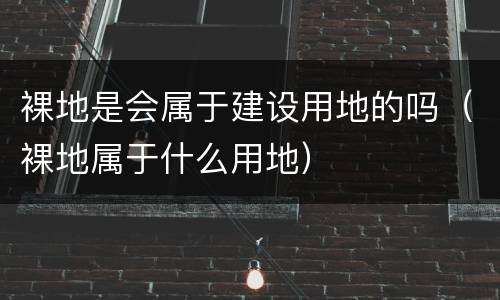 裸地是会属于建设用地的吗（裸地属于什么用地）