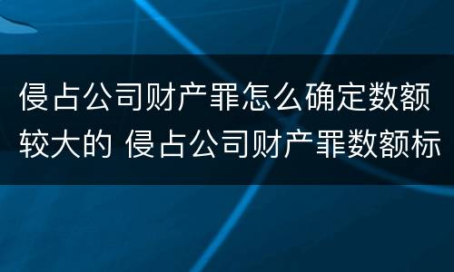 侵占公司财产罪怎么确定数额较大的 侵占公司财产罪数额标准