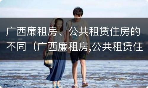 广西廉租房、公共租赁住房的不同（广西廉租房,公共租赁住房的不同类型）