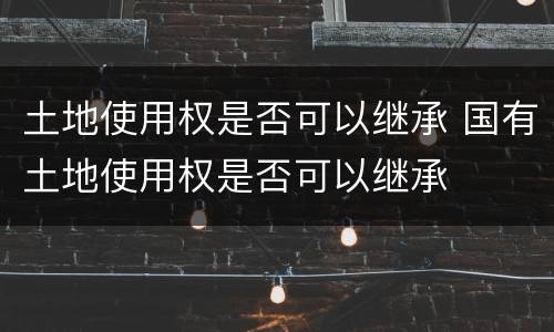 土地使用权是否可以继承 国有土地使用权是否可以继承
