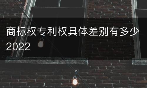 商标权专利权具体差别有多少2022