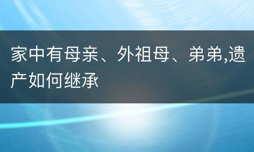 家中有母亲、外祖母、弟弟,遗产如何继承
