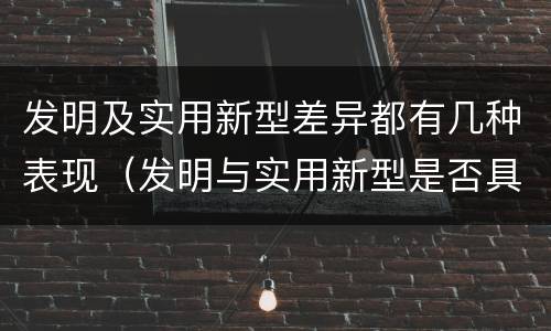 发明及实用新型差异都有几种表现（发明与实用新型是否具有实用性）