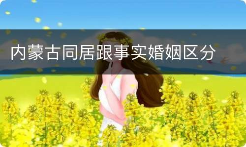 内蒙古同居跟事实婚姻区分