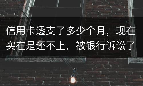 信用卡透支了多少个月，现在实在是还不上，被银行诉讼了要怎样办，谢谢