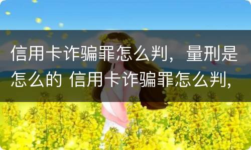 信用卡诈骗罪怎么判，量刑是怎么的 信用卡诈骗罪怎么判,量刑是怎么的呢
