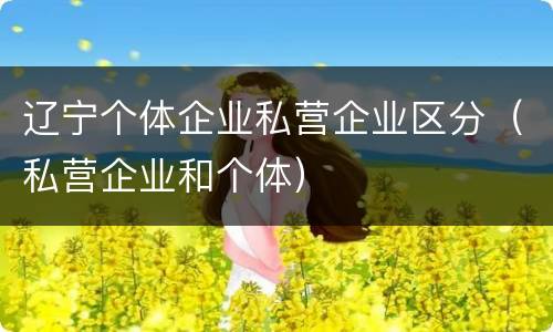辽宁个体企业私营企业区分（私营企业和个体）